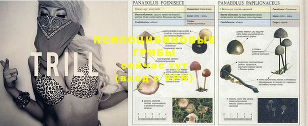 кокаин VHQ Мегион
