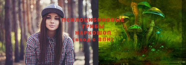 МДПВ Медвежьегорск